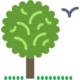 tree tree
